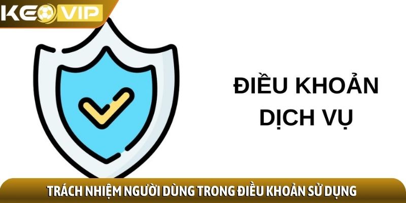 Điều khoản sử dụng 2 Trách nhiệm người dùng trong điều khoản sử dụng
