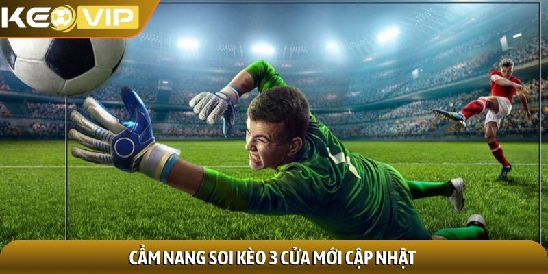 Kèo 3 cửa - Nền tảng dự đoán thể thao không thể thiếu 2 Cẩm nang soi kèo 3 cửa mới cập nhật