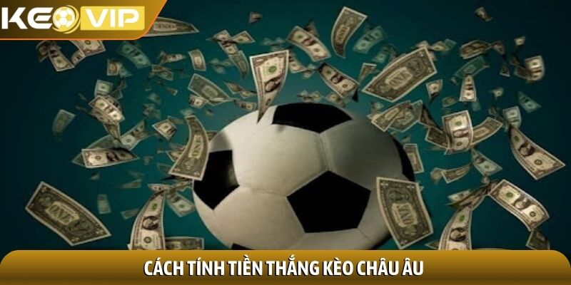 Kèo châu Âu - Bí quyết soi kèo cho người yêu thể thao 2 Cách tính tiền thắng kèo châu Âu