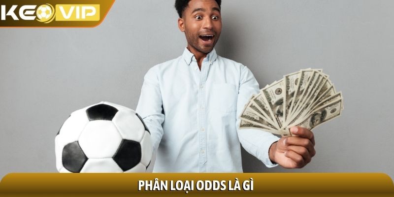 Odds là gì? Khám phá bí ẩn đằng sau những con số quyết định 2 Phân loại Odds là gì