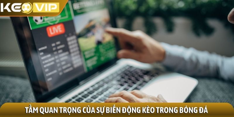Odds là gì? Khám phá bí ẩn đằng sau những con số quyết định 3 Tầm quan trọng của sự biến động kèo trong bóng đá