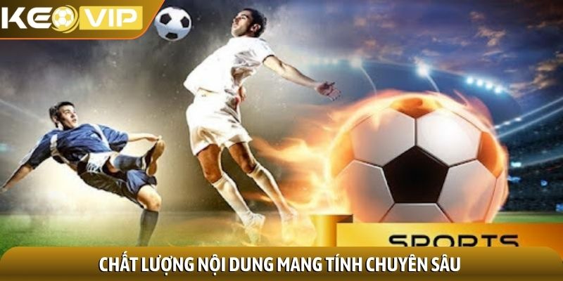 Tác giả Bá Phú 2 Chất lượng nội dung mang tính chuyên sâu